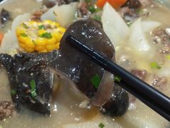 Q弹甲鱼-7890+霸王甲·甲鱼爱尚蛙(坪洲店)