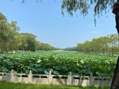 -南戴河国际娱乐中心