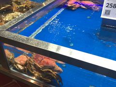 -盒马鲜生(大成店)