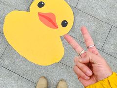 -深圳人才公园
