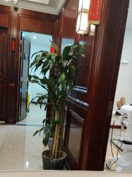 -南京医科大学友谊整形外科医院