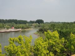 -东郊湿地公园
