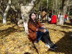 -千年银杏谷文化旅游区
