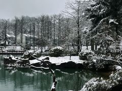 -四明山国家森林公园