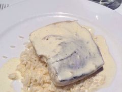 -植物园哈利亚餐厅