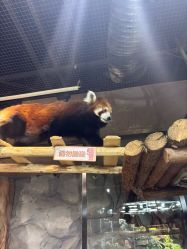 -Zoolung Zoolung动物主题公园(海信广场店)