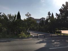 -威海大水泊国际机场