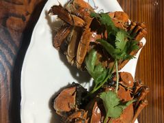 -呼吸森林·生态农庄农家乐私房菜