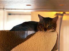 -Me Coffee下午茶艺术空间