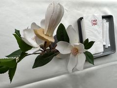 -唐廊烤鸭店(工体店)