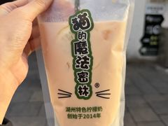 -猫的魔法密林(衣裳街店)