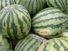 -何庄子阿米玛玛农产品批发市场