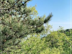 -天津盘山风景名胜区