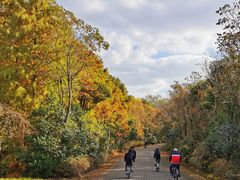 -上海海湾国家森林公园