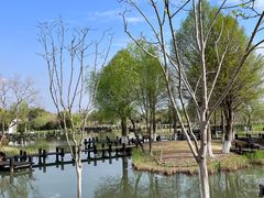 -沙家浜风景区