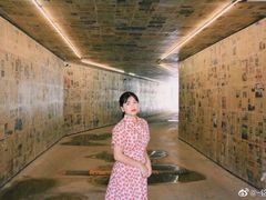 -特来电汽车充电站(特来电泉州甲第门文创园充电站)