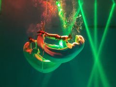 -芜湖新华联大白鲸海洋公园