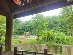 -宁波野生动物园