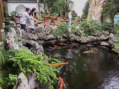 -鲤院·新中式美学·庭院餐厅(夫子庙店)