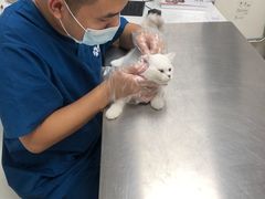 -爱诺耐芙动物医院(万博店)