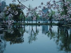 -莫愁湖公园