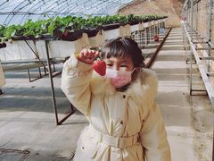 -甜心庄园·甜心草莓采摘园(西青中北店)