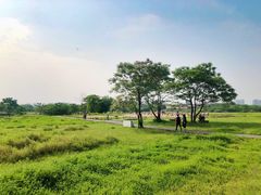 -盘龙城国家考古遗址公园