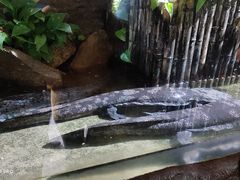 -青青世界