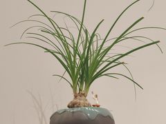 -慈云斋·24节气素食