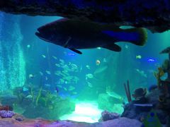 -沈阳海洋探索中心