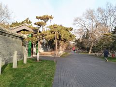 -万泉公园