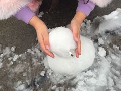 -长沙富力万达文华酒店