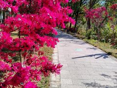 -温州永嘉书院