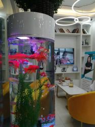 -痘庄科学祛痘皮肤管理国际连锁