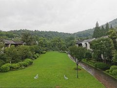 -杭州雅谷泉山庄酒店-餐厅