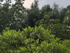 -滴水岩森林公园