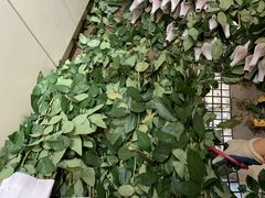 -花草间花行(法华镇路店)