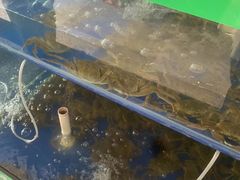 -阳澄湖大闸蟹·琼灵阁牌品牌连锁(吴中总店)
