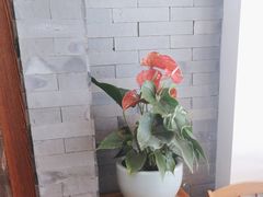 -淮上豆府(水厂路店)