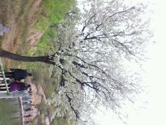 -星美国际影城(迪信通店)