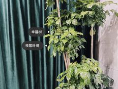 -京东家装(昆明总店)