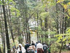 -九寨沟-树正沟