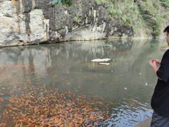 -楠溪江风景名胜区