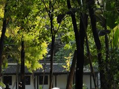 -河北省园博园