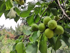 -长春公园(普阳街道)