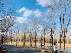 -东郊湿地公园