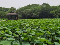 -兰亭风景区