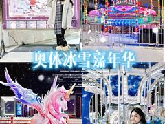 -沈阳奥体冰雪嘉年华