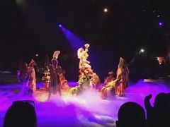 -奥兰多迪士尼动物王国乐园