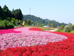 -中国香山·寿香谷
